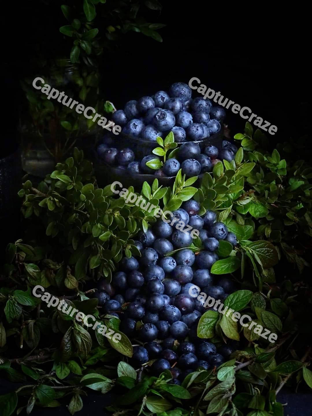 A bunch of blueberries